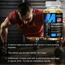 Instinct Blue – Creatina Monohidrato 3000mg Cápsulas | Vegana | Masa Muscular y Fat Loss