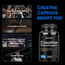 Instinct Blue – Creatina Monohidrato | Recuperación Muscular y Energía | Suplemento Gym