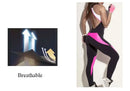 Conjunto Deportivo para Mujer, Transpirable, de Secado Rápido, para Fitness, Yoga, Gimnasio, Deportes, Correr, Trotar, Bailar, Chándal de Buena Calidad