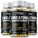Instinct Blue – Creatina Monohidrato Cápsulas | Fuerza Muscular | Reduce Fatiga y Energía