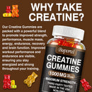 Instinct Blue – Creatina Monohidrato Gummies | Pre y Post Entreno | Fuerza y Energía