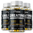 Instinct Blue – Creatina Monohidrato Cápsulas | Fuerza Muscular | Reduce Fatiga y Energía